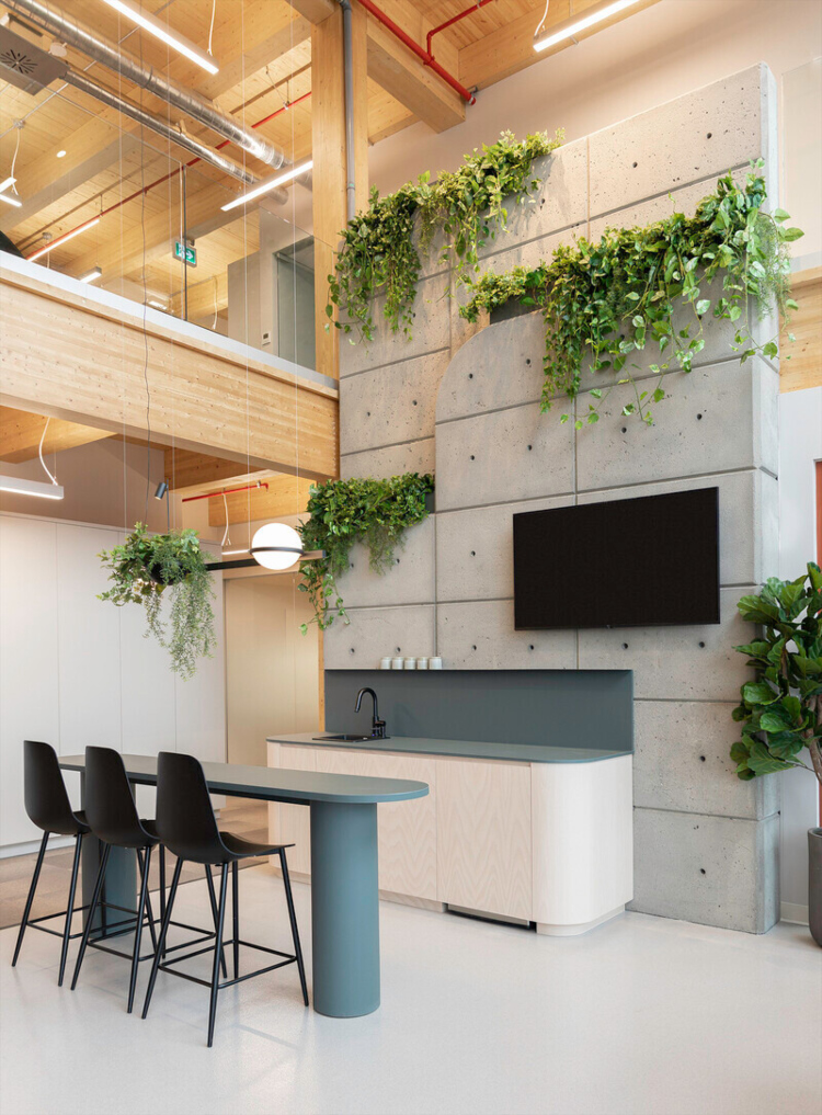 Udoban kancelarijski prostor ispunjen svetlim drvetom i zelenim biljkama